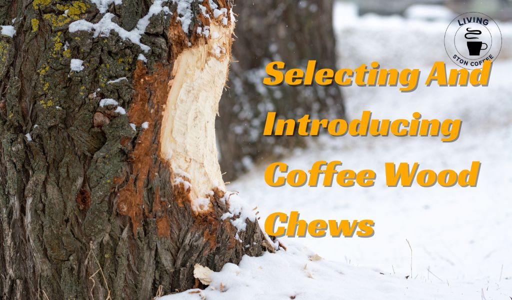 coffee wood chews
