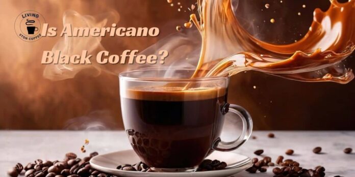 americano black coffee.